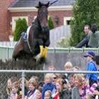 Cavalo salta cerca e cai no público na Austrália