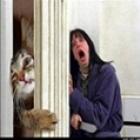 deu_a_louca_nos_animais_iii