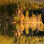 o_reflexo_perfeito