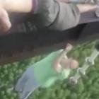 tem_medo_de_altura_os_russos_nao