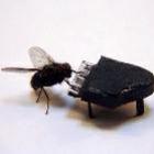 as_aventuras_do_sr_fly