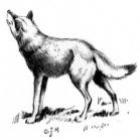 O Lobo de Allendale