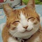 sera_que_os_animais_tem_personalidade