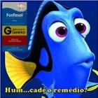 dory_e_estrela_de_comercial_de_tv