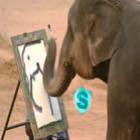 Incrível, Elefante pintor!