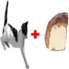 tutorial_de_como_ter_energia_infinita