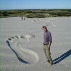 imagens_curiosas