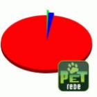 por_que_nao_gosto_de_pit_bulls_em_grafico