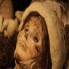 as_polemicas_mumias_de_xinjiang