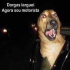 os_fails_dos_manolos_riariaria