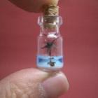 belas_miniaturas_dentro_de_frascos_de_vidro_super_pequenos