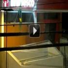 bandidos_explodindo_caixa_eletronico_do_bradesco_em_uberaba