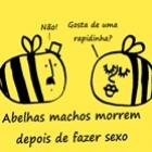 10_curiosidades_que_voce_nao_sabe_68
