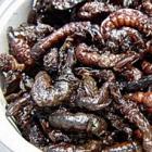 10_comidas_japonesas_de_sorvete_de_lingua_a_semen_de_peixe