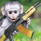 cuidado_o_macaco_esta_solto_e_armado_com_uma_ak47