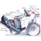 como_se_malhar_o_leg_press