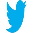 Twitter anuncia mudanças no seu pássaro azul, símbolo do site 