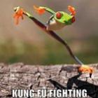 Everybody was kung-fu fighting!