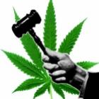 legalizacao_da_maconha_para_uso_medico_nao_aumentou_seu_consumo