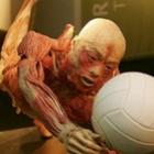 50_fatos_sobre_o_corpo_humano_que_talvez_voce_nao_sabia_