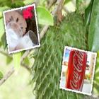 voce_troca_sua_cocacola_por_um_suco_de_graviola_