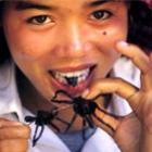 top_7_comidas_mais_bizarras_do_mundo