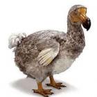 10_incriveis_animais_extintos_vcs_nao_vao_acreditar