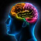 o_que_seu_cerebro_e_capaz_de_fazer
