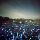 Lee Eunyeol e suas instalações de luzes pela paisagem noturna