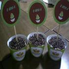 o_resultado_dos_cupcakes