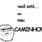 quando_uma_tartaruga_cruza_seu_caminho