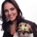 conheca_um_pouco_mais_sobre_a_raca_shihtzu