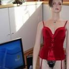 case_para_pc_em_forma_de_mulher_assusta_em_vez_de_ser_sexy
