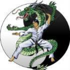 kungfu_a_arte_milenar_chinesa