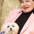 morre_cadela_que_recebeu_r$19_milhoes_de_heranca