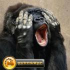 penultima_rodada_do_campeonato_brasileiro_
