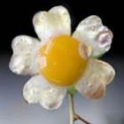 brincando_com_a_comidafotos_montagens_hilarias