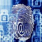 top_10_fraudes_na_web