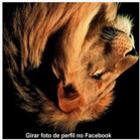 como_girar_foto_de_perfil_no_facebook_