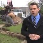 os_melhors_dos_piores_fails_de_novembro