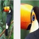 amplie_suas_fotos_com_qualidade