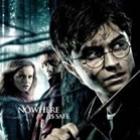 Veja o Segundo featurette de ‘Harry Potter e as Relíquias da Morte: Parte 2