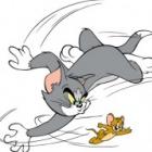 felino_e_roedor_juntos_veja_esse_video&hellip;_