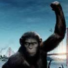 a_terra_poderia_um_dia_ser_dominada_por_um_outro_animal