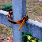 Nova York proíbe enterros de humanos em cemitério de animais 