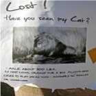 31 engraçados cartazes de animais perdidos