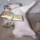 todo_ser_que_tem_folego_louve_ao_senhor