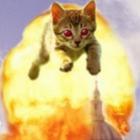 montagens_com_gatos