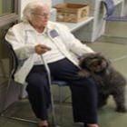 Mulher de 83 anos viaja quase mil km para rever cão roubado nos EUA