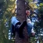 Aprenda com esse tiozão como não escalar uma árvore!